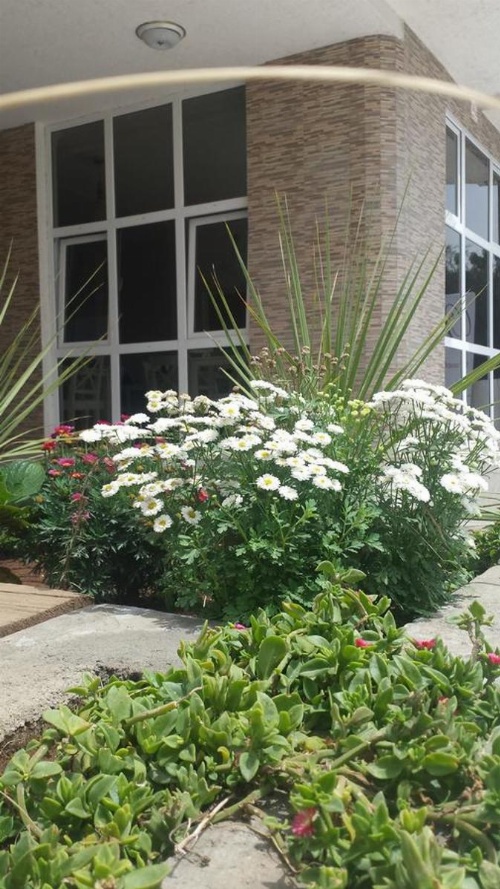 White House Addis Hotel image 41